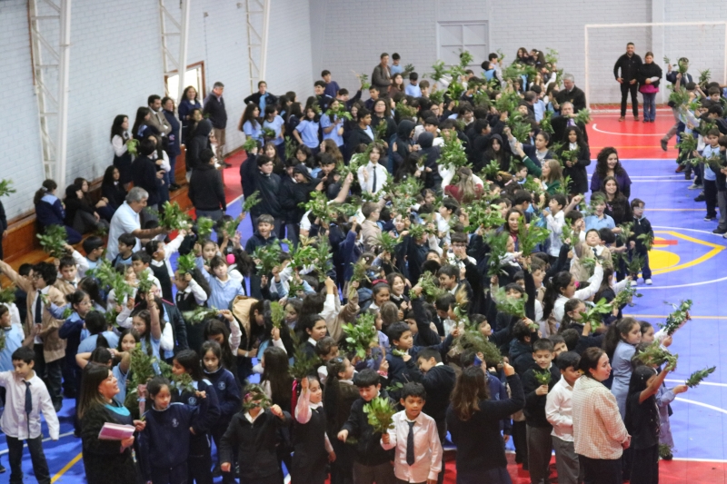 Celebración de Ramos